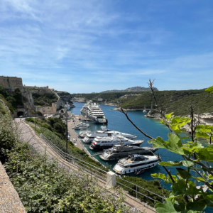 05 29 Bonifacio 2
