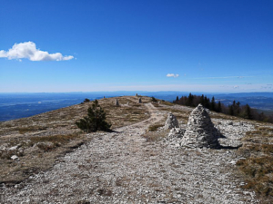 09 14 Montagne de Lure 5