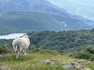 06-2025 Wales and Corwall