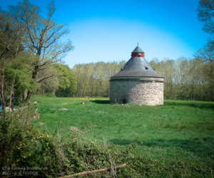 DSC00501